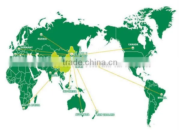 Manufacture high quality Pumpkin Seed Oil lower blood lipid