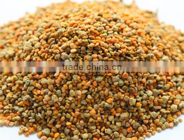 china low price sweet camellia bee pollen grain