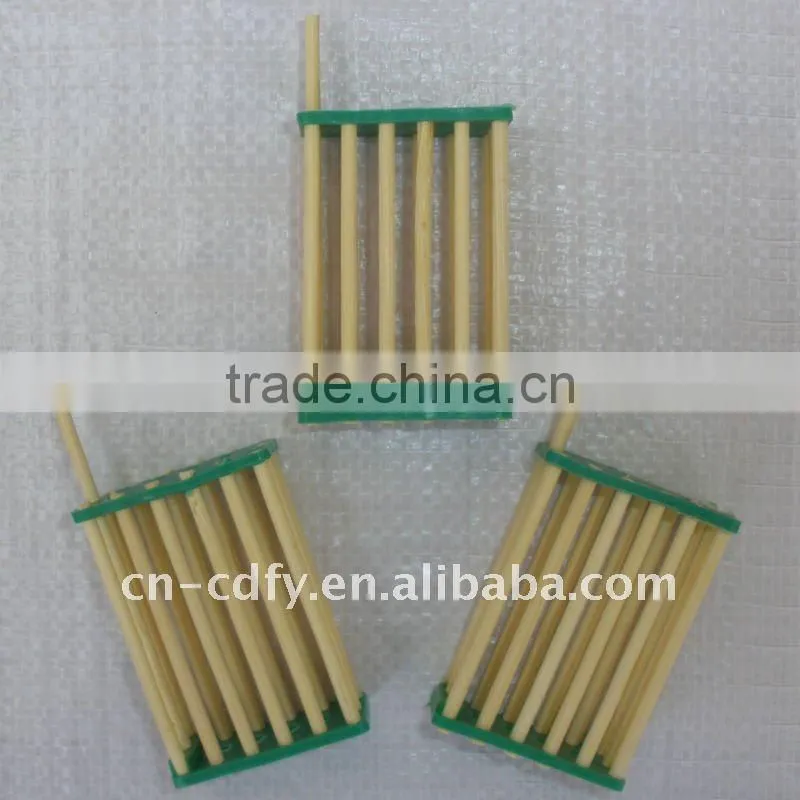 Bamboo And Plastic Bee Queen Cage