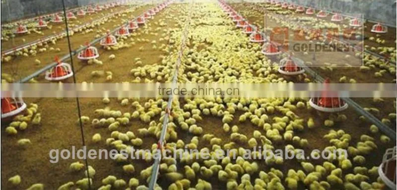 auger feeding transportation system