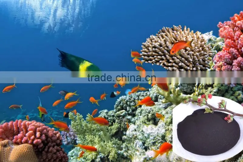 AgrAgrolink agent the high quqality but low price Seaweed composition fertilizer