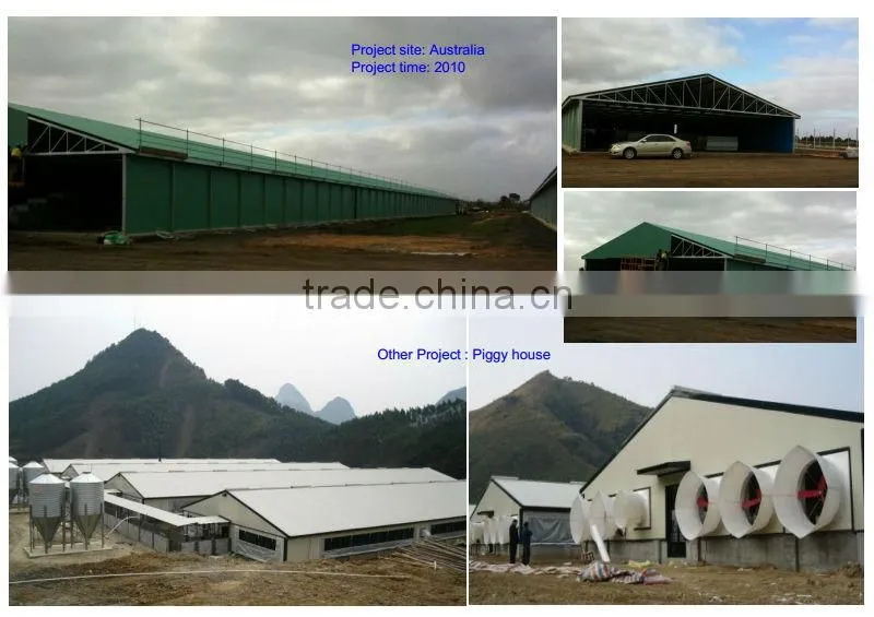 High Quality Prefabricated Chicken Shed and Chicken Farm