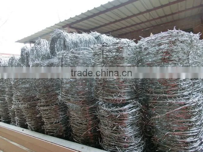 galvanized barbed wire