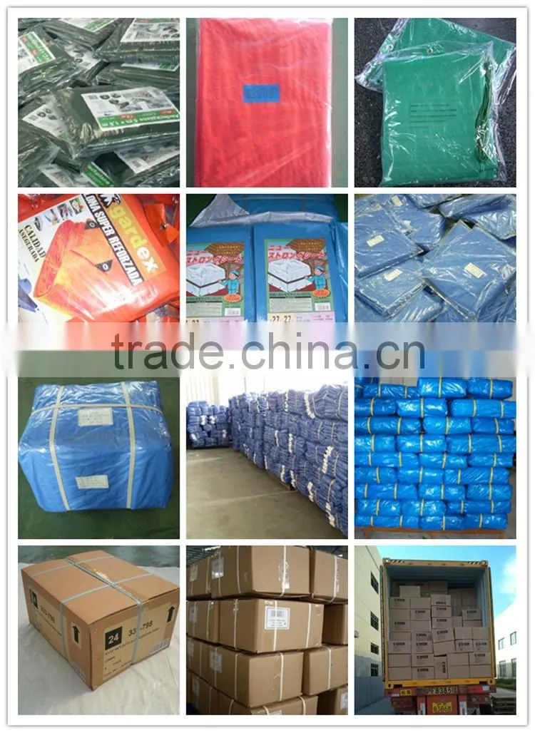 The cheap PP/PE Tarpaulin