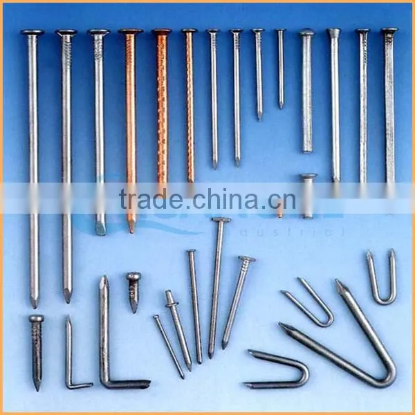 Manufacture high quality low price price per kg iron nail