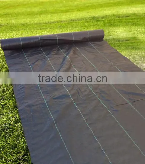 weed control mat