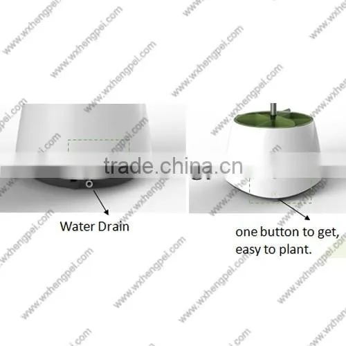 Mini hydroponic smart garden