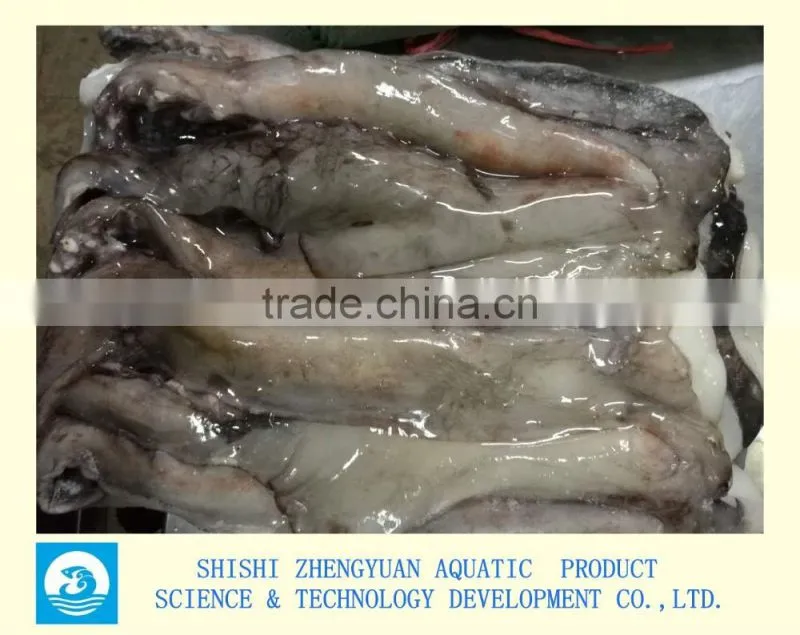 Frozen Giant Squid Head