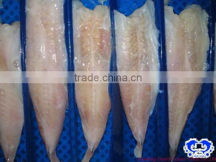 fresh monkfish tail IQF