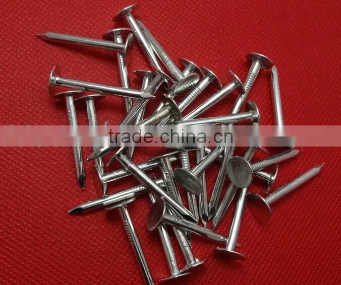 galvanized clout nails with flat head/ clout nail roofing nails
