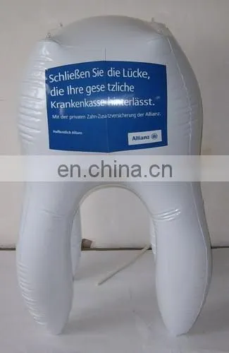 PVC inflatable lifelike tooth model