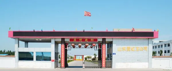 Shandong Neon King Electronic Co., Ltd company overview - view 1