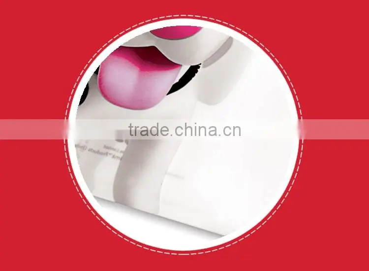 Cute dog printing PP Type and PP Material plastic hanging file folder