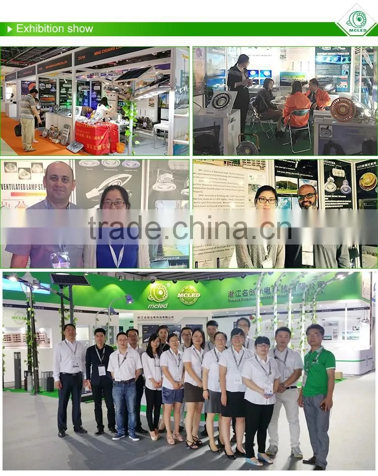 MCLED ATEX 30W COB MOSO Explosion-proof led industrial explosion proof lighting fixtures Zone1 and Zone 2 lighting
