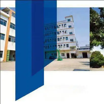 Shandong Dingfeng Packaging Machinery Co., Ltd. company overview - view 2