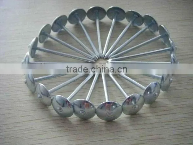 galvanized umbrella roofing nails factory