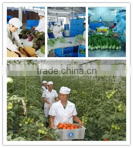 Chinese black garlic