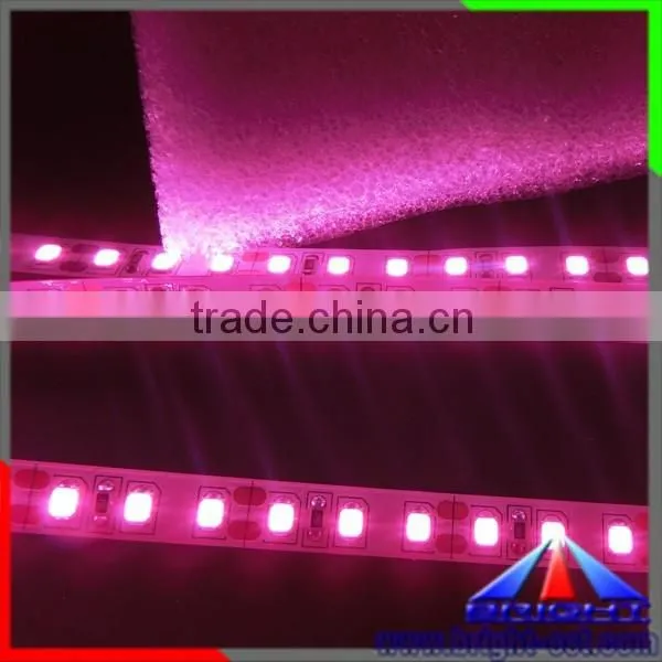 Pink Color LED Strip 2835,Led Light Strip Pink Colour
