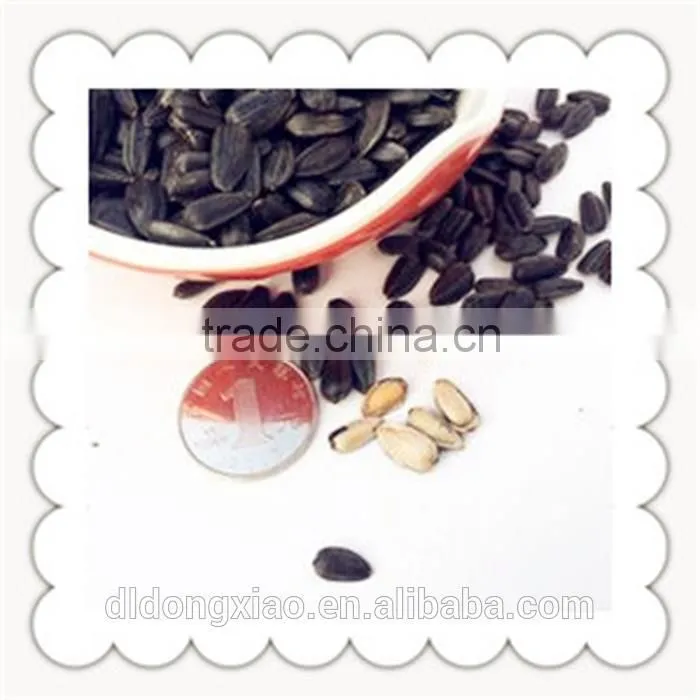 Sunflower Seeds for Birds small seed high oil content
