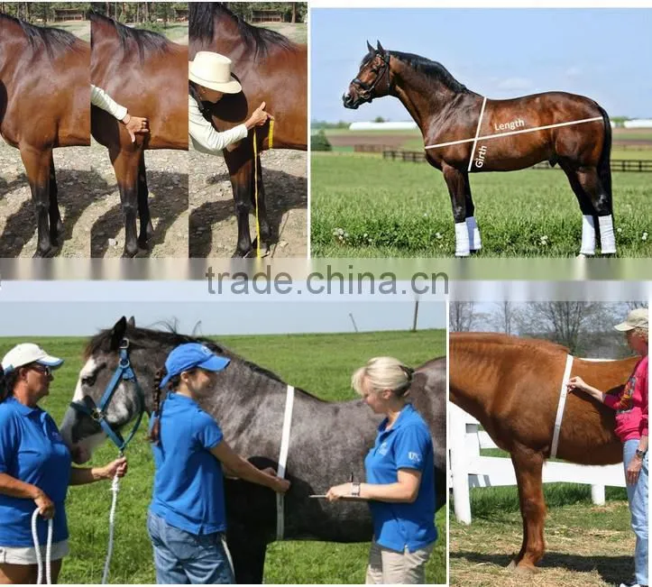 Custom Printed Horse Weight Measuring Tape