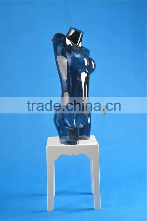 Plastic female torso mannequin
