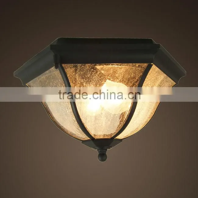2015 Ceiling is special pendant lighting (5615)
