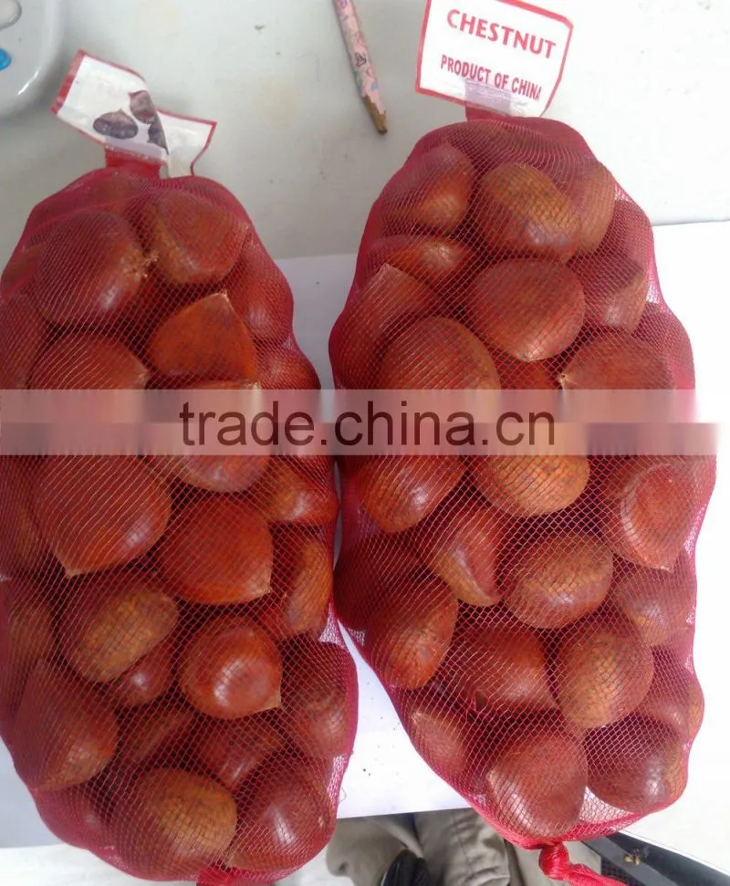 Large quantity Natural healthy chestnut