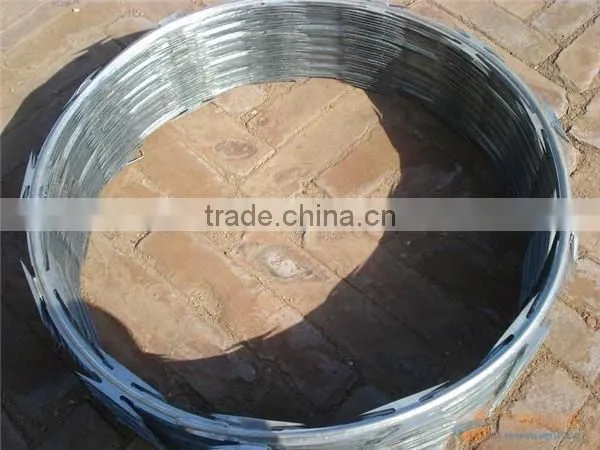 fencing razor barbed wire
