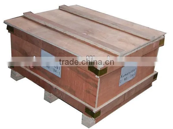 Iron Casting Gear Lubricative Pump