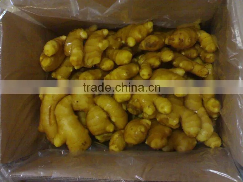 Fresh Ginger for Sell/USA MARKET/Long beach