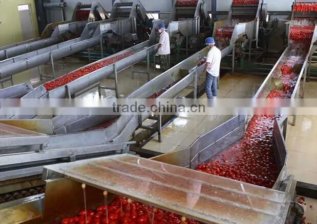 Tin Tomato Paste 28-30%