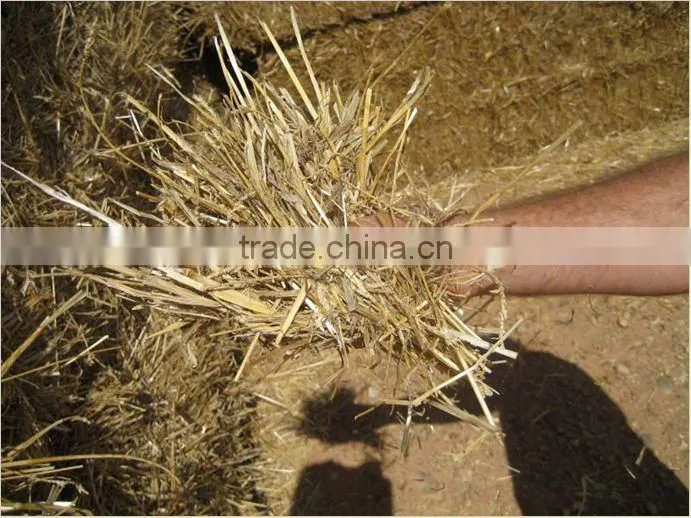 Spain High Quality and Best Quality Dirty Wool