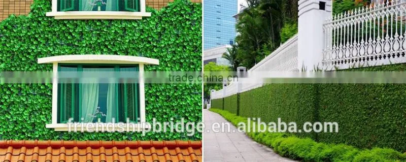 Assorted Tree Plant Seedlings for Vertical Planting Walls and Gardens