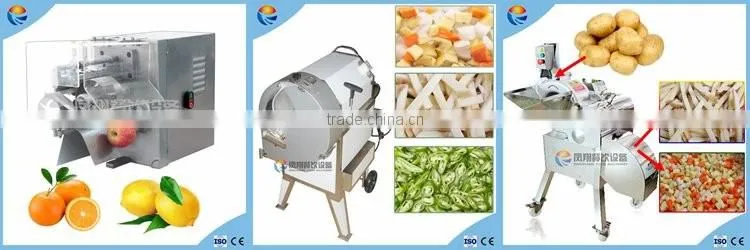 Automatic Small Size 220V Hotel Vegetable and Fruit Washing Machine with Good Price