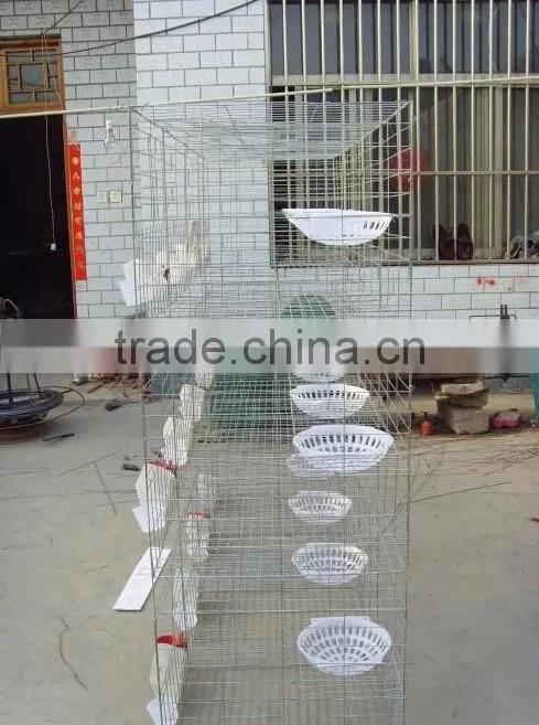 3 layers 12 doors pigeon cages for poultry farm