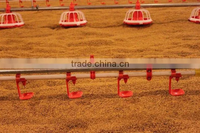 poultry automatic drinking system