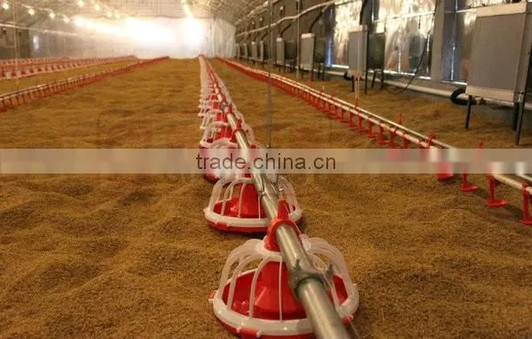 Goldenest manufacturer poultry feeding line automatic equipment poultry for sale JCZY-OP01