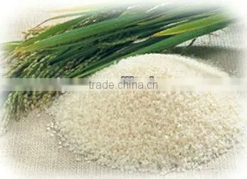 rice stoning machine
