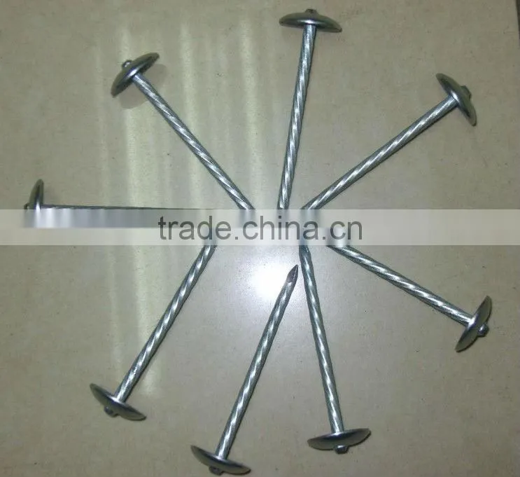 Cheap Raw Material Wire Nails for Construction for sale
