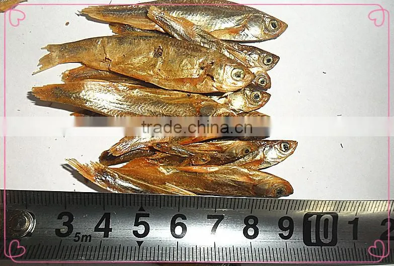Organic Pet Products 2--6 cm Cat Food Dried fish