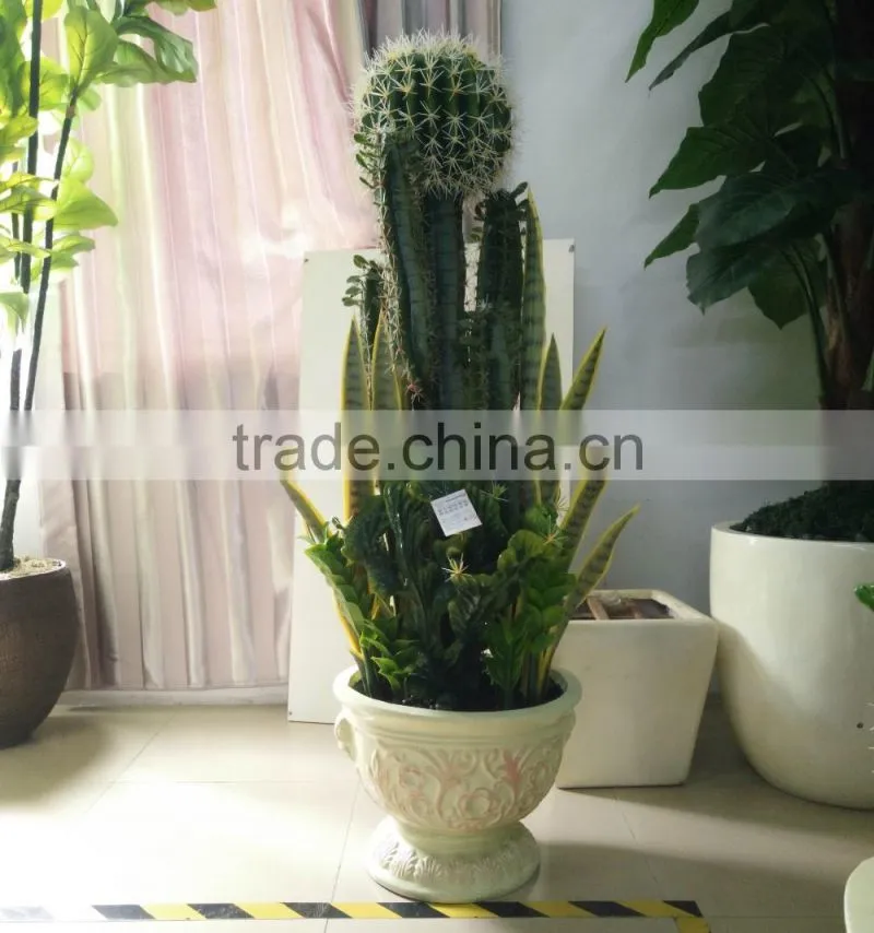 decorative jamaica cactus plant bonsai artificial cactus