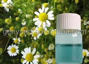 Clove Oil Extraction Nature Plant Extract Clove Essential Oil Extraction Machine
