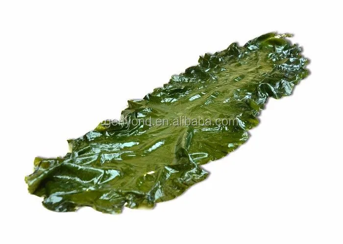 Vegetable Washing Machine/seaweed Packaging Machine/high Quality Kelp Cleaning Machine