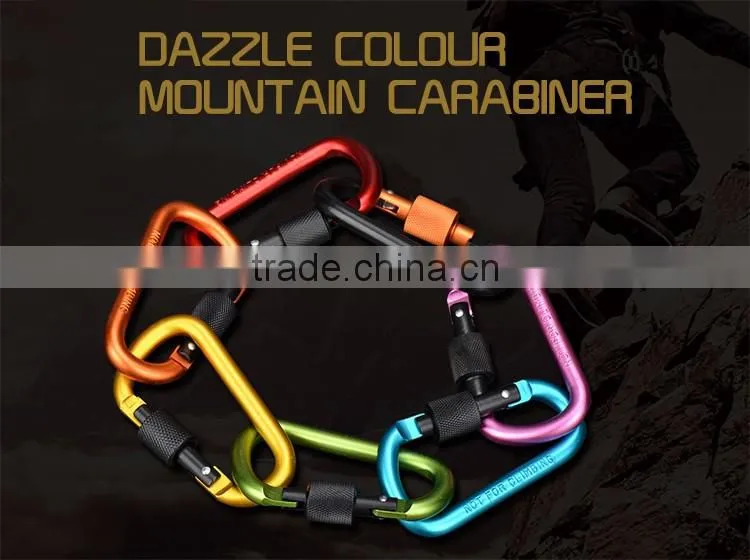 Carabiner KeyChain
