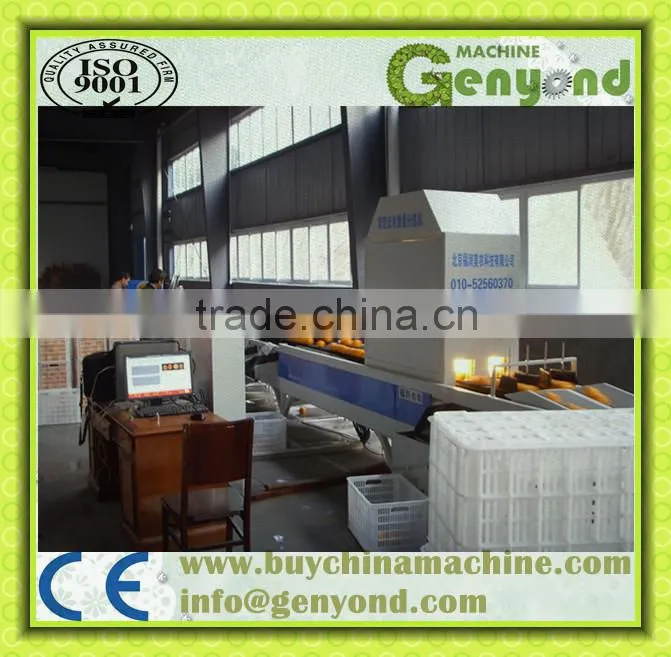 orange opto-electronic grading line