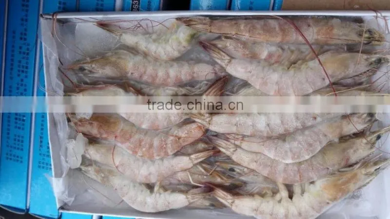sea frozen vannamei white shrimp