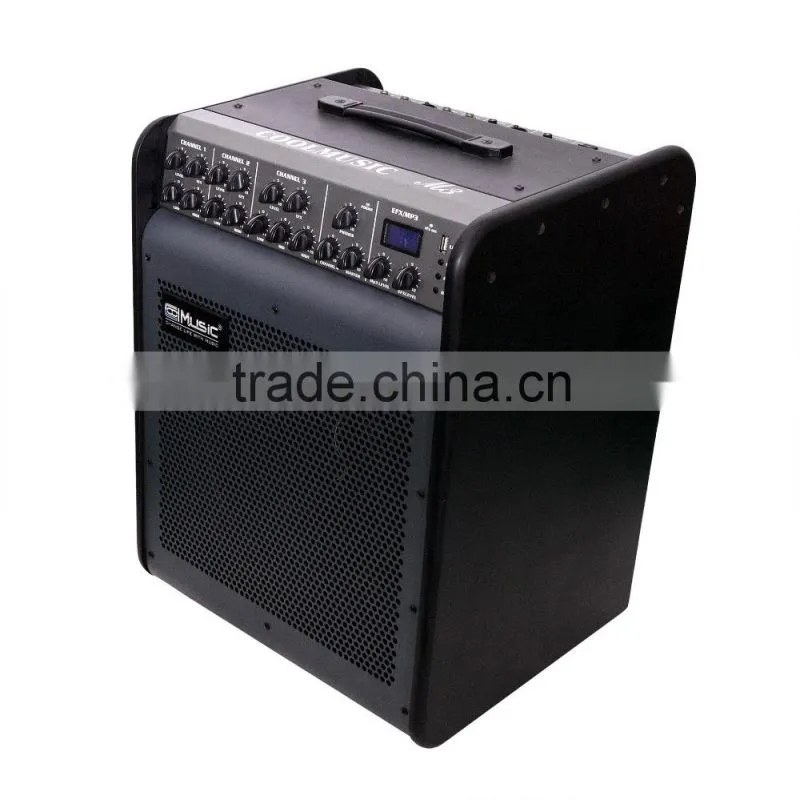 120W 12'' Battey Powered Mltifunctional LED Bluetootuh USB for Acoustic Guitar, Keyboard and Electronic Drum