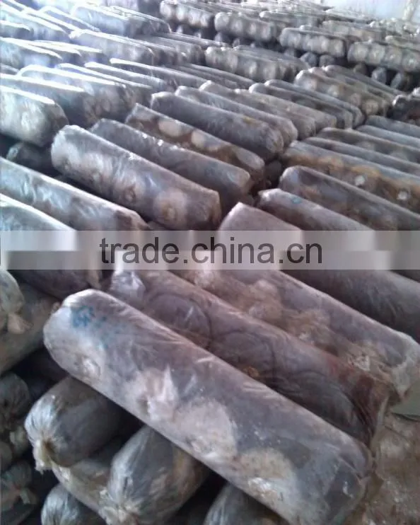 Best price stainless steel mushroom growing bag filling machine/sales promotion mushroom bagging machine / Sack packer