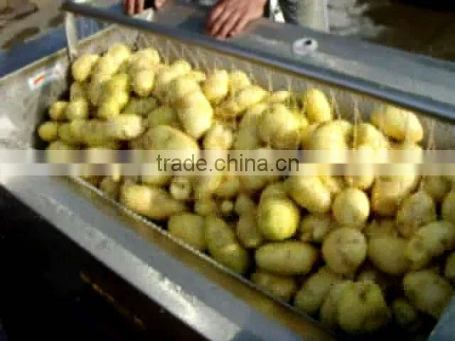 potato washing and peeling machine manufacturer