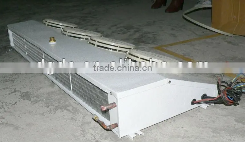 Insulated Refrigerated Ice Storage Room